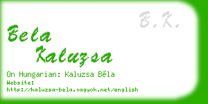 bela kaluzsa business card