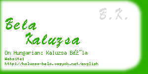 bela kaluzsa business card